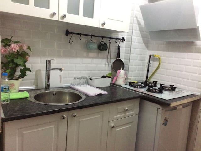 Beşiktaş Central 1+1 Fully Fresh New Furnished