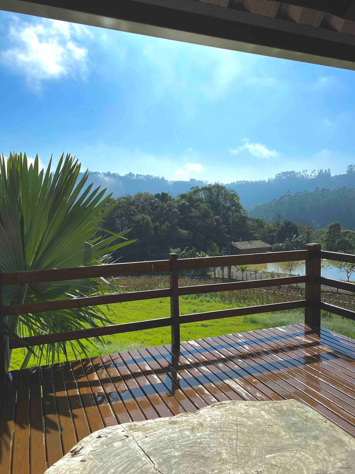 A wooden deck offers expansive views of lush green hills under a clear blue sky. A palm leaf adds a tropical touch, while sunlight highlights the glistening surface of the polished deck. The surrounding landscape features trees and open fields, enhancing the serene environment.