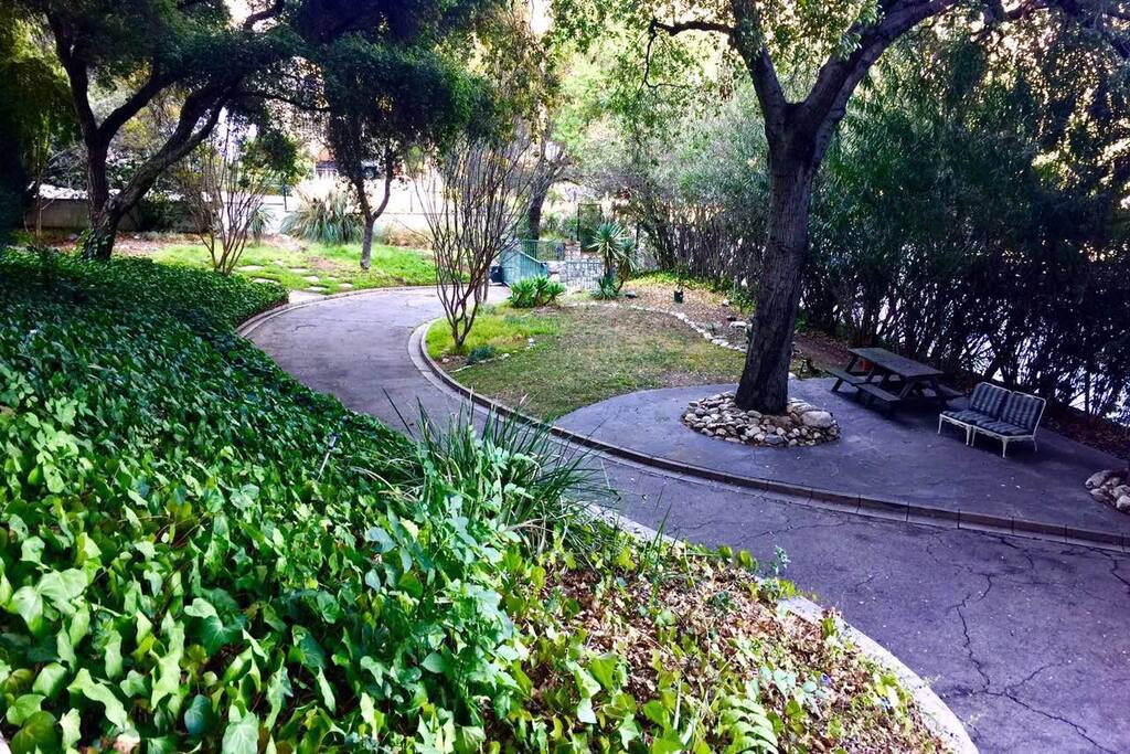 The yard you will enjoy