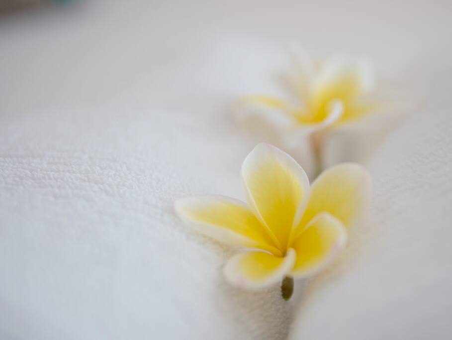 Linen and towels included
