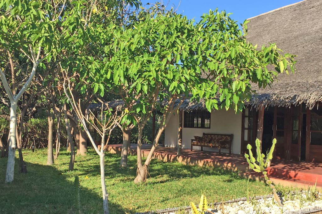 Indigenous garden