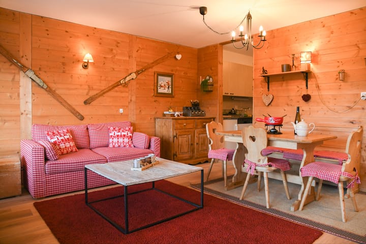 Apartment at the foot of the ski lifts!
