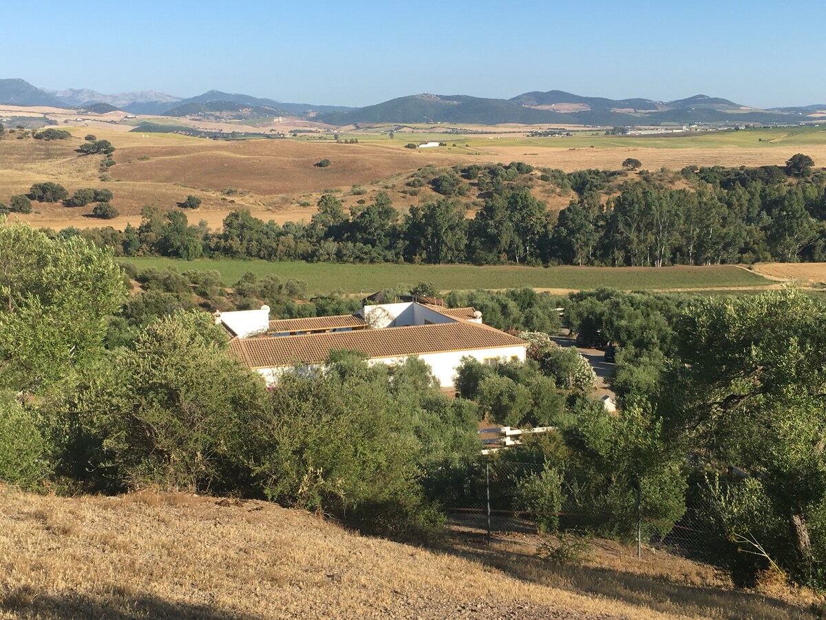 A spacious ecological house is nestled among olive trees, surrounded by rolling hills and verdant landscapes. The structure features a modern design with solar panels on the roof, while the gentle slope of the terrain adds depth to the serene view.