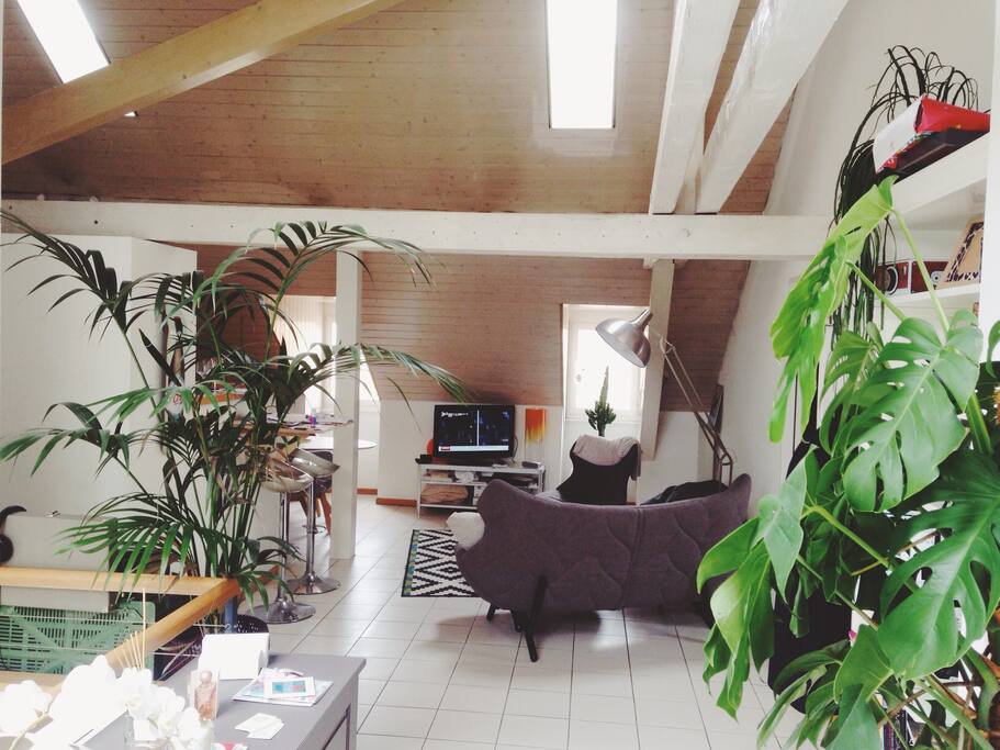 Salon