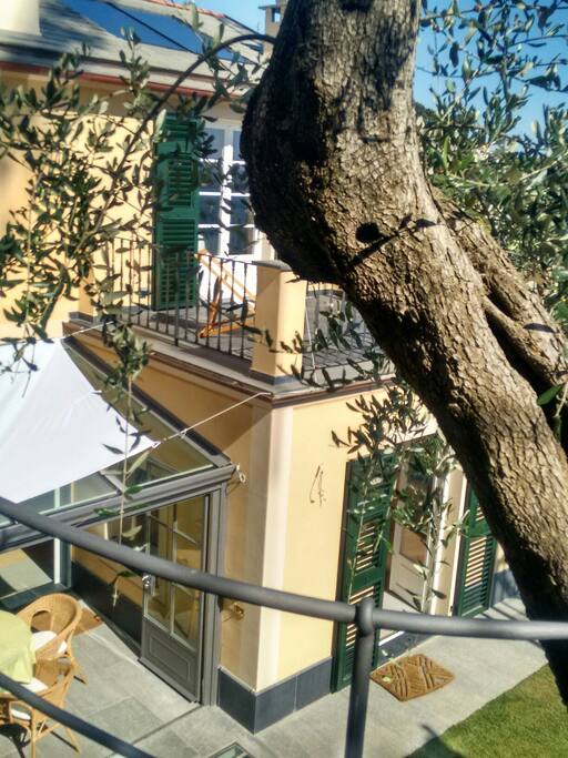 Un rustico, gli ulivi, le fasce e il mare