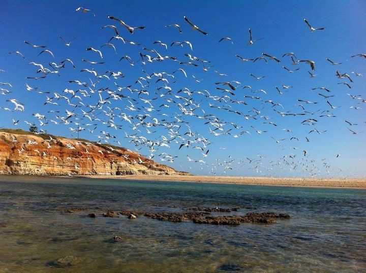 Port Noarlunga Holiday Rentals & Homes South Australia, Australia