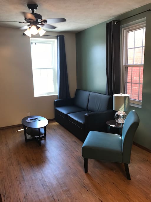 Sitting area with full sized sleeper sofa.