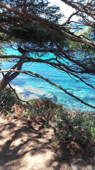PORT CROS SENTIER VERS PLAGE DU SUD