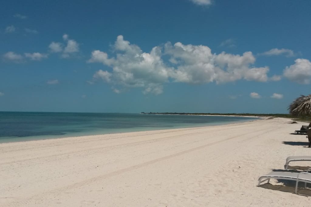 Miles of untouched beach, never crowded