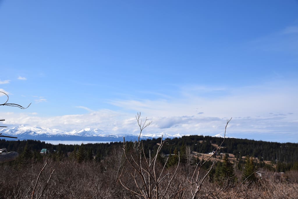 Breathtaking views: Kachemak Bay