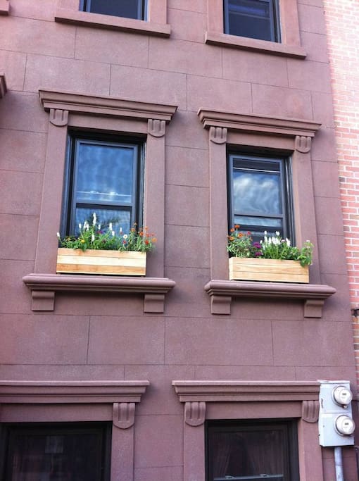 Just behind these windows, your Bed-Stuy adventure begins...