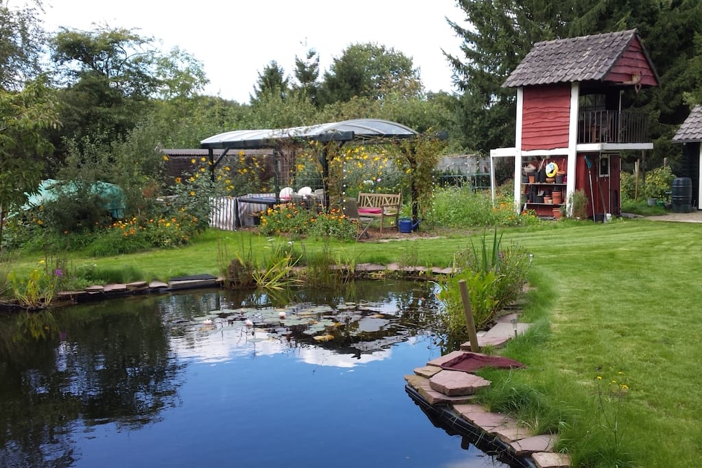 my garden with biological pond. you can swim here!