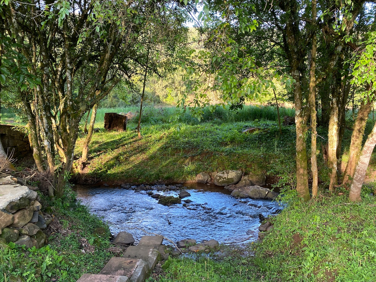 A serene rural landscape features a gently flowing stream surrounded by lush greenery and trees. The sunlight casts soft shadows on the water, reflecting the vibrant colors of nature. Smooth stones line the edge of the stream, creating a natural setting for relaxation.