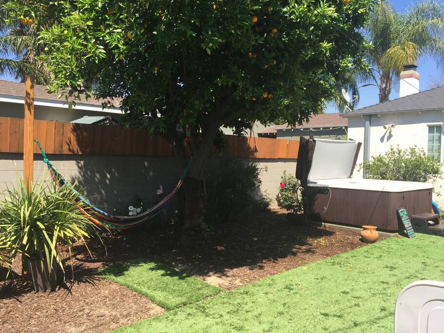 Shared backyard with hammock, hot tub and orange tree
