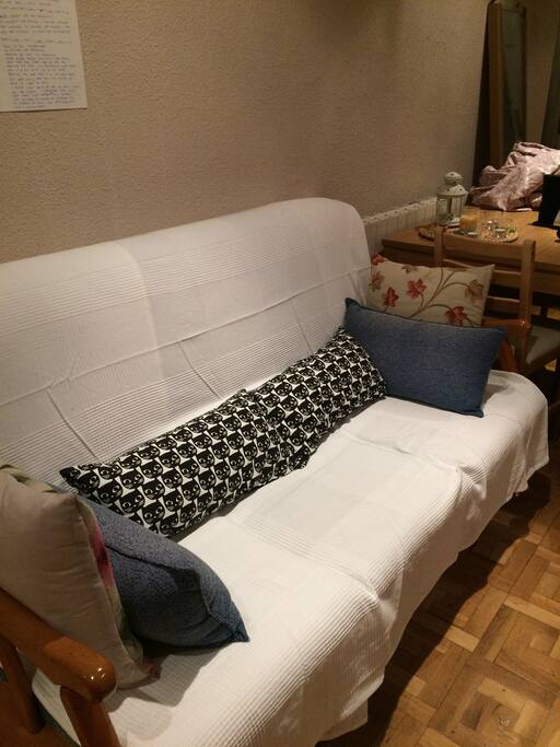 The sofa. This is a sofa-bed if you need an extra bed