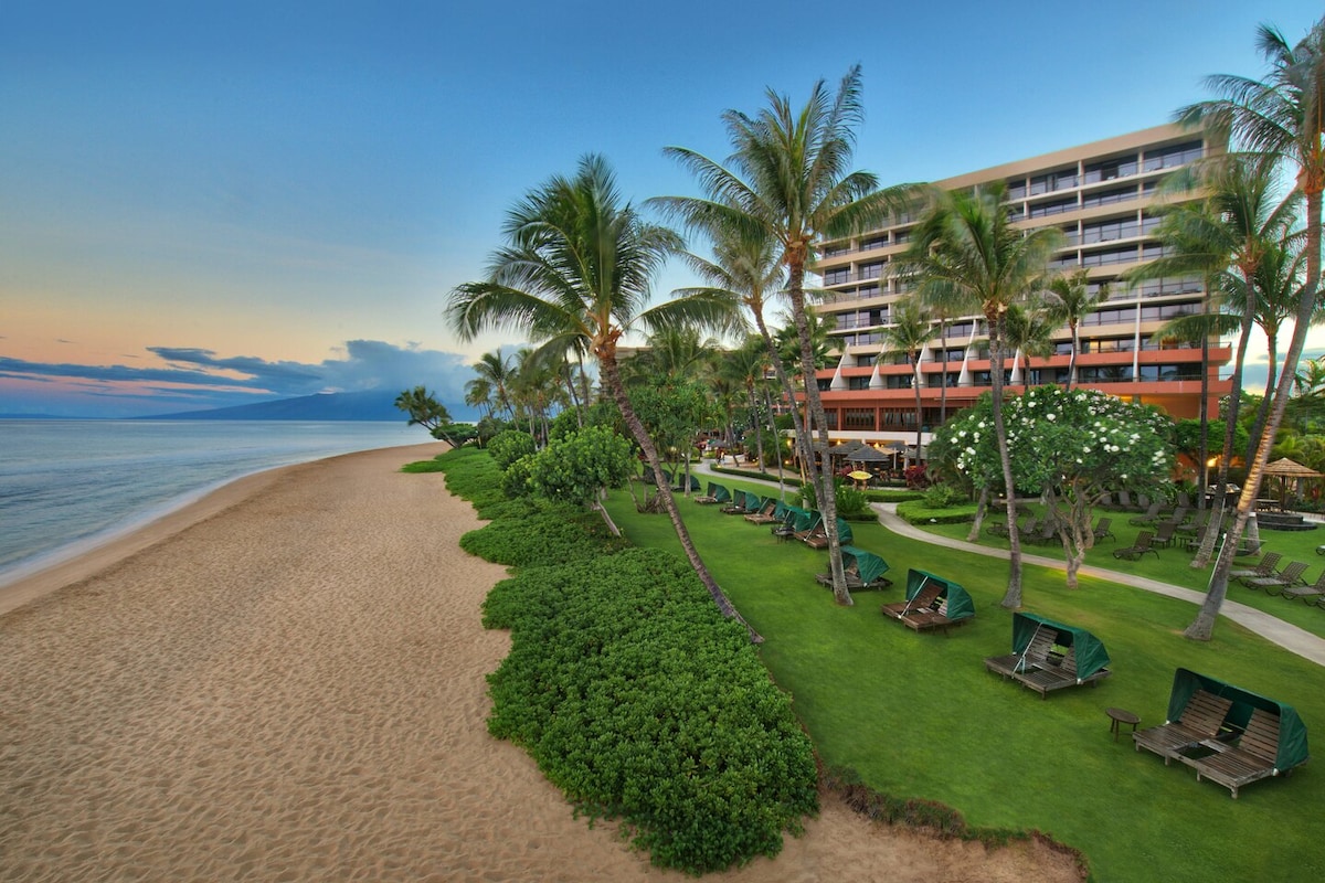 A beachfront view showcases a sandy shoreline lined with lush greenery and palm trees. The resort's multi-story building is visible in the background, complemented by lounge chairs arranged along the manicured lawn. The tranquil ocean meets the horizon under a soft blue sky.