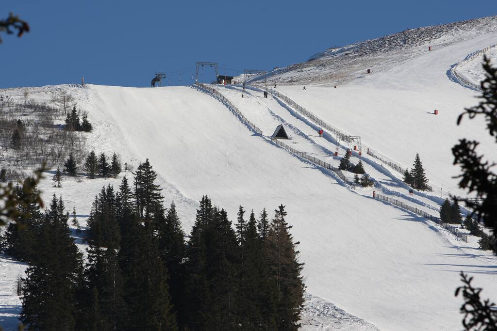 Skiabfahrt (nur wenige Meter neben dem Chalet)