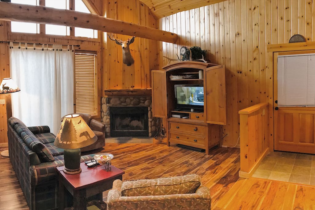 Living Room w/ Cable TV & DVD Player & Pull Out Couch Bed