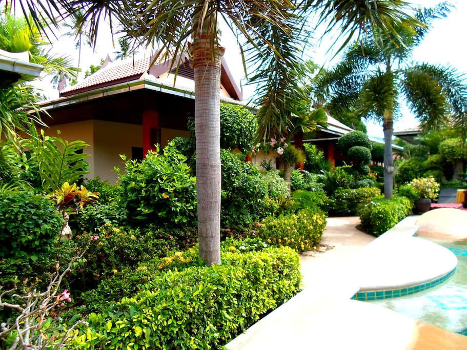 Path to the villa