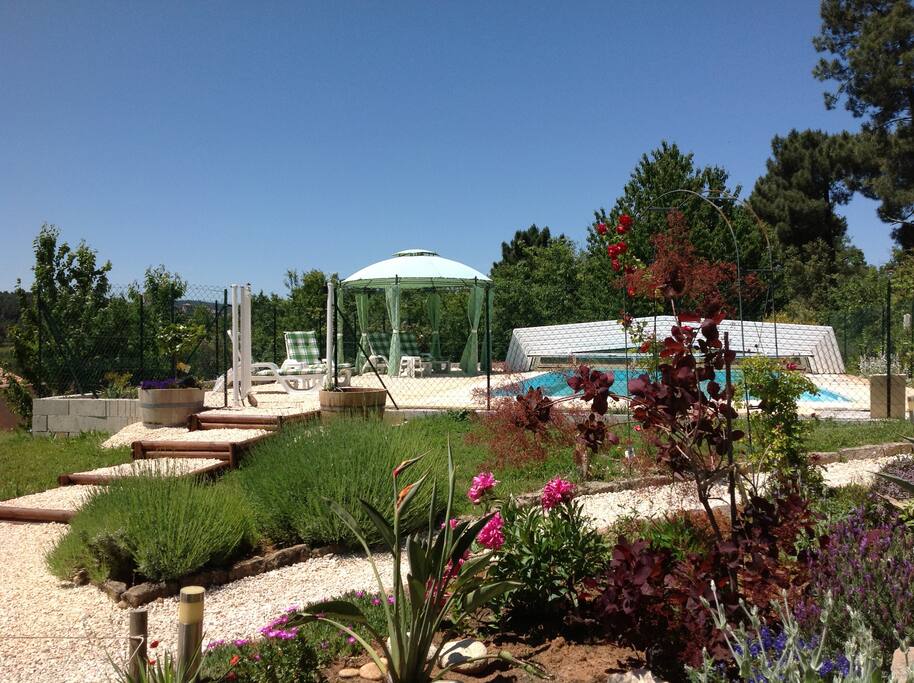 Zwembad/piscine/ swimmingpool