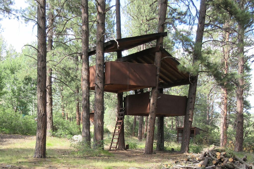 Two story tree house for the kids!