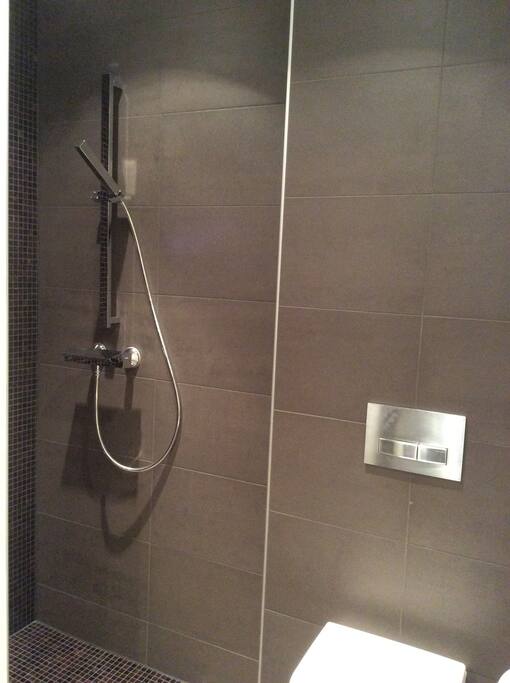 Guest bathroom