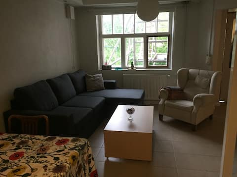 Successful Airbnb property: Next to Alvar Aalto museum and University campus in Jyväskylä