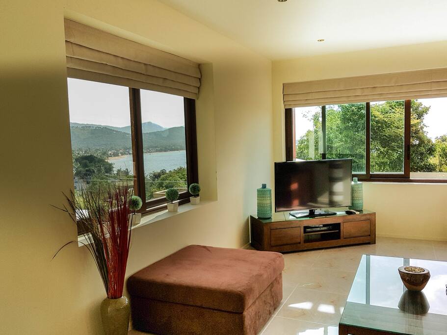 Window views living room