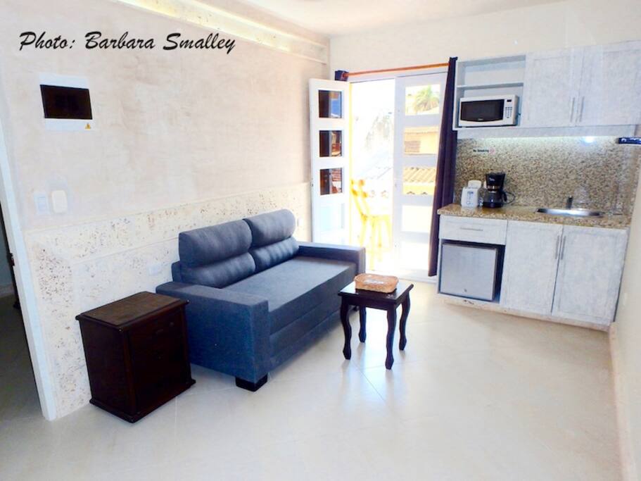Living area with balcony, kitchenette, sofabed, TV & full bath
