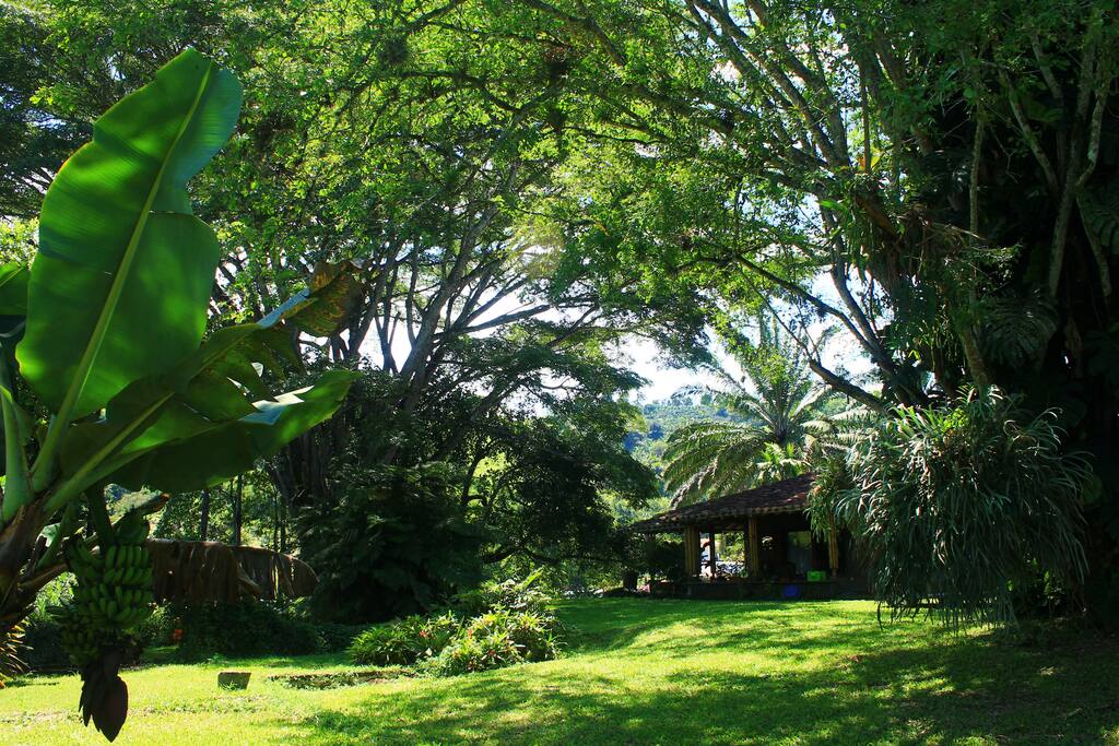 Ambiente natural rodeado de naturaleza, ideal para realizar actividades como la observación de aves, senderismo, ciclomontañismo, retiros de Yoga, entre otros.
Natural environment surrounded by nature , ideal for activities such as bird watching , hiking, biking, yoga retreats , among others.