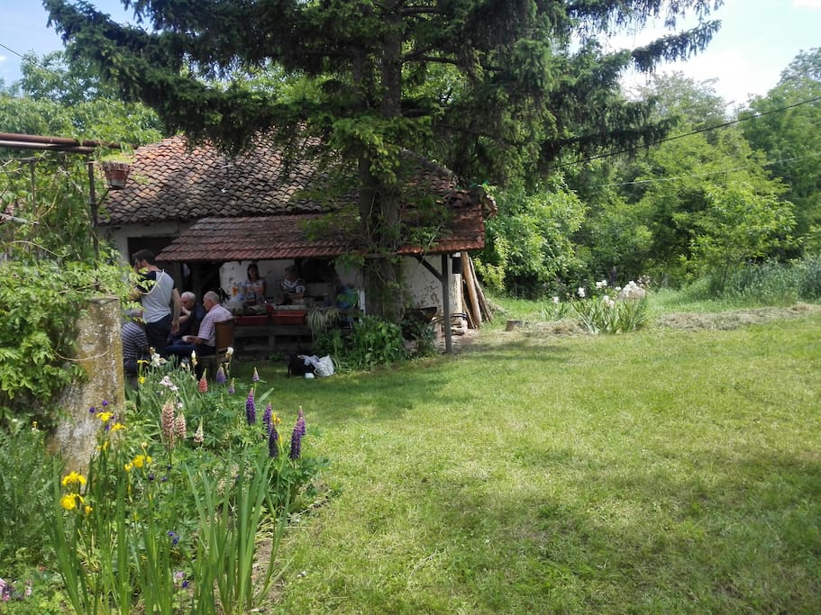 Summer family resort
