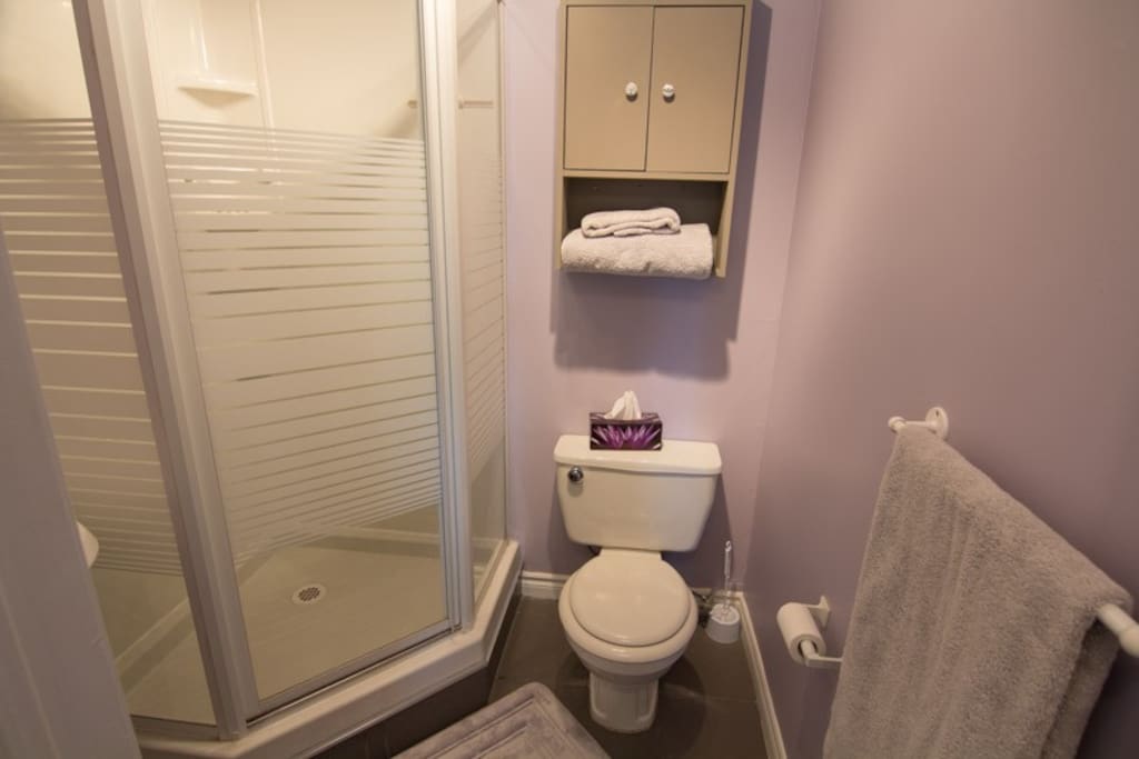 Bathroom with shower.