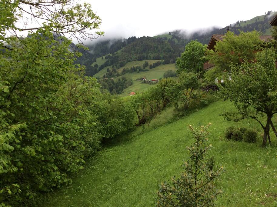 Vue du jardin