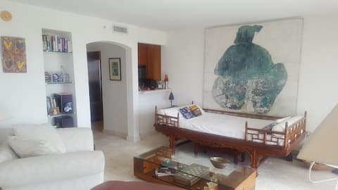 Top Airbnb: Bay view, Coconut Grove, Mia in Grove Center