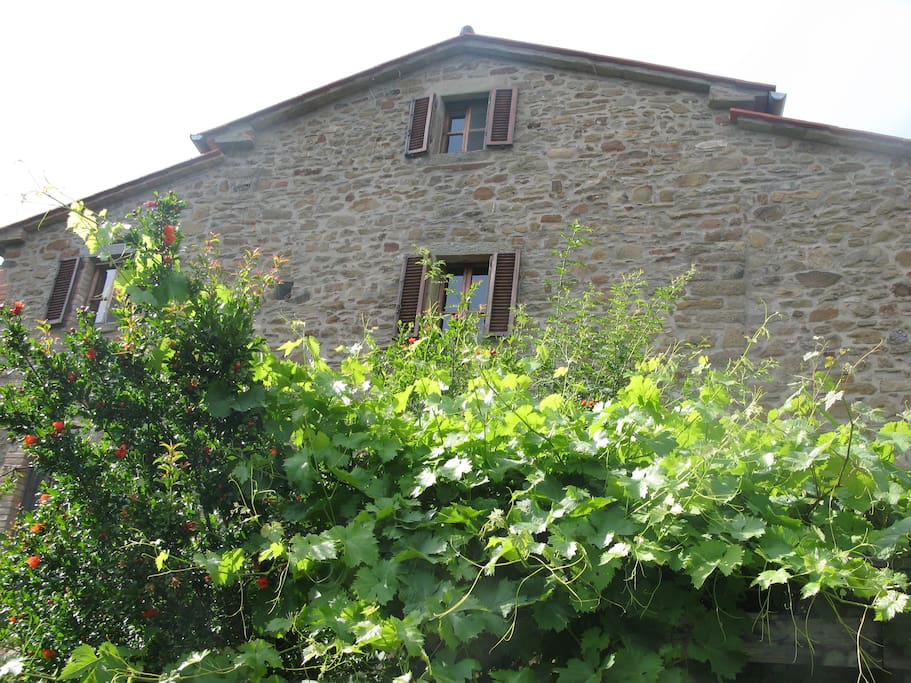 Casa Luce vista posteriore