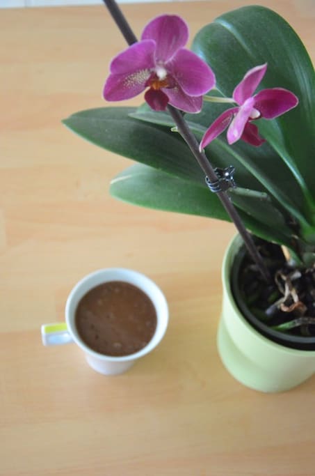 Petit déjeuner en supplément 6€/pers