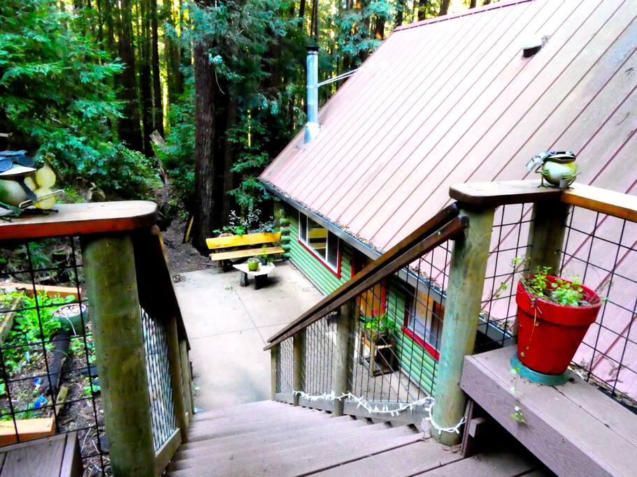 Stairs leading from the road down to the cabin