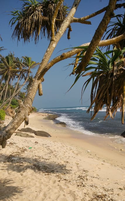 ...and this is just 50 meters away, untouched beaches including Madiha Surf Point and other Reefbreaks.
