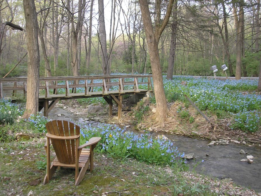A quiet moment by the stream...