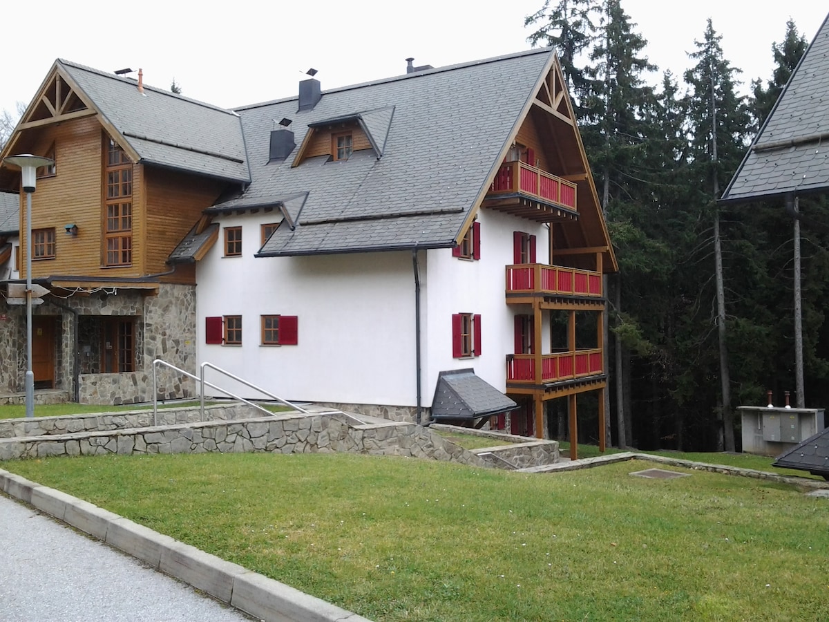 A multi-level mountain house features a combination of wood and stone exterior, complemented by wooden balconies with red accents. A gently sloped lawn leads to the entrance, surrounded by tall trees and a gravel pathway, creating a serene, natural environment.