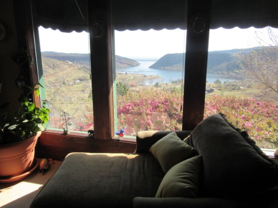 From Living Room