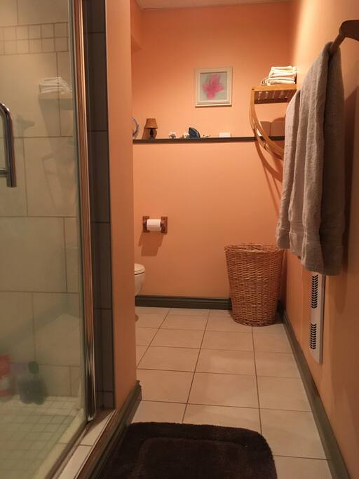 Salle de bain privée avec douche