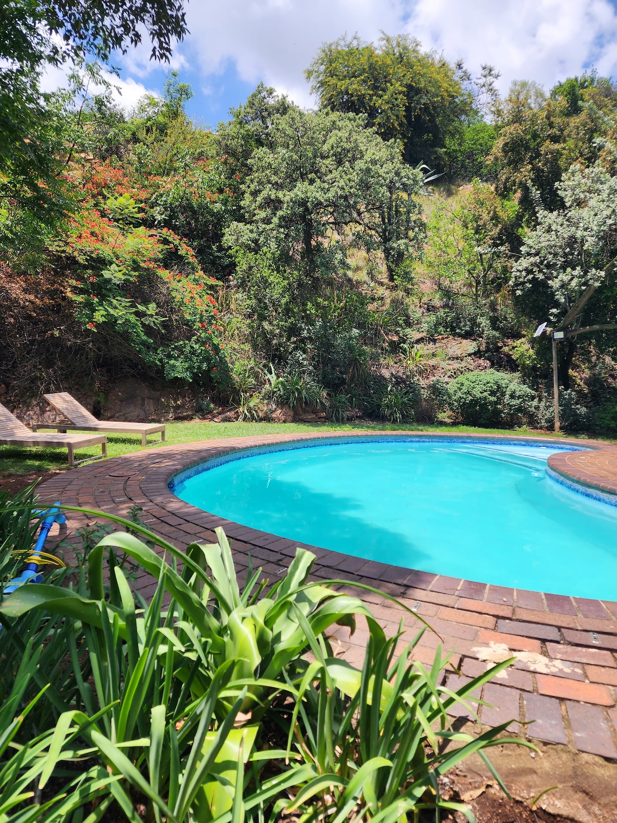 A tranquil outdoor pool area is framed by lush greenery and trees, offering shade and a relaxed atmosphere. The pool, with clear blue water, is complemented by a rounded brick coping and nearby lounge chairs, inviting leisurely afternoons in nature.