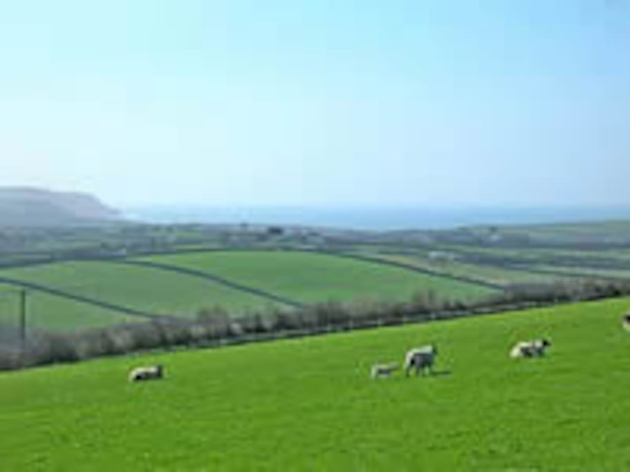 the view down to Widemouth Bay