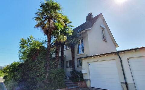 House under palm trees near St. Jakob-Park Basel