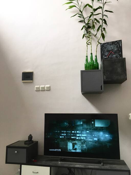 Cable TV + wifi