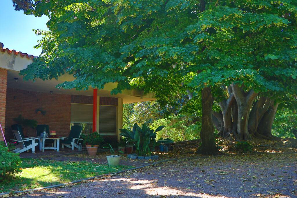 El frente de la Casona, con su imponente árbol de gomero