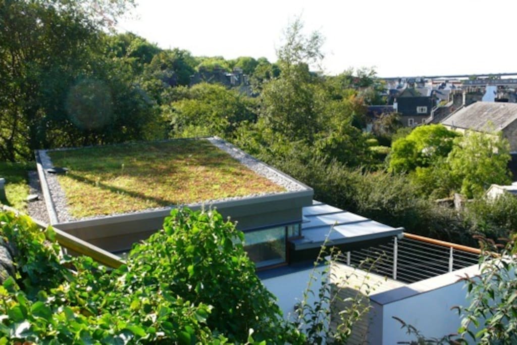 Sedum roof