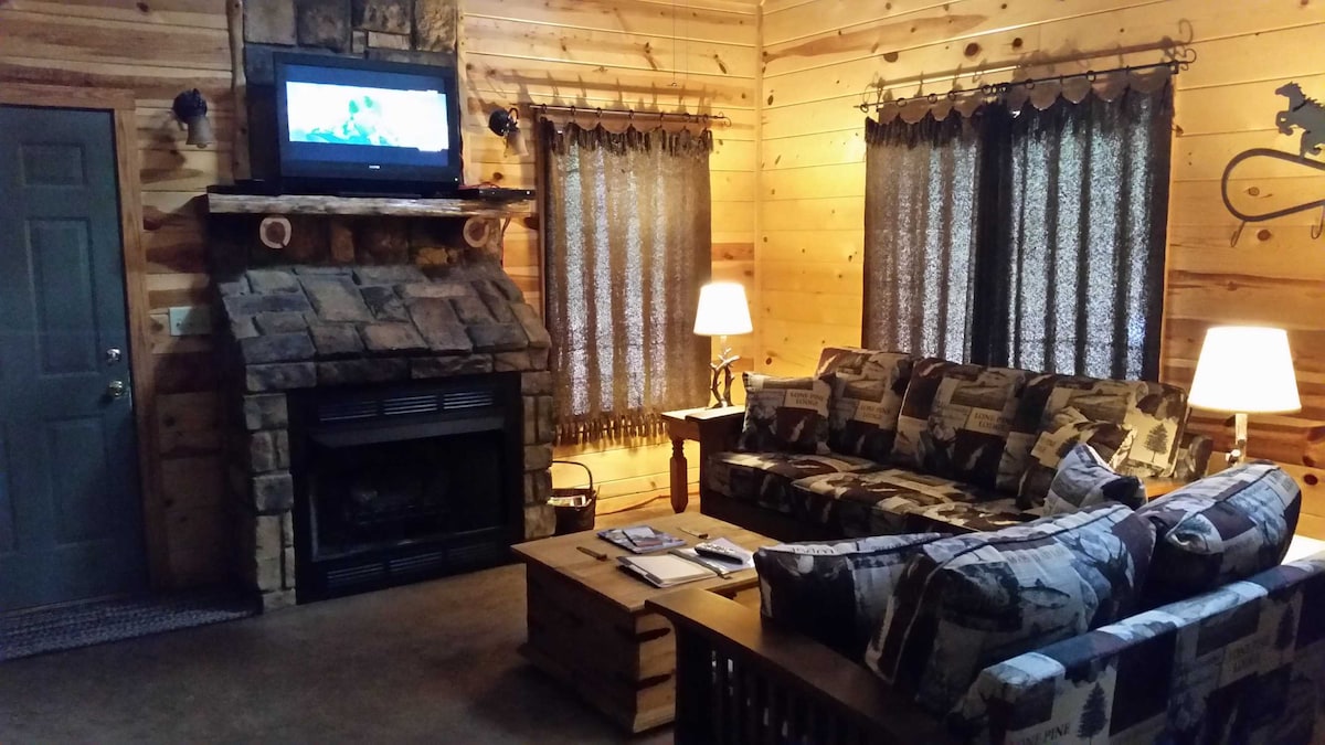 Living area w/ gas fireplace & cable tv