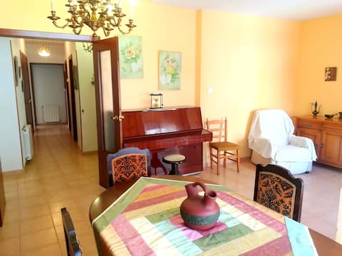 Beautiful apartment downtown Onil